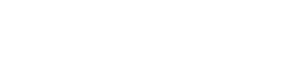 Rotary - People of Action